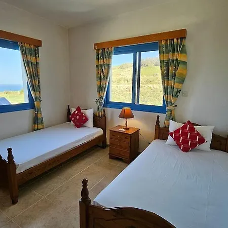 Livia - Vikles 1 Pomos