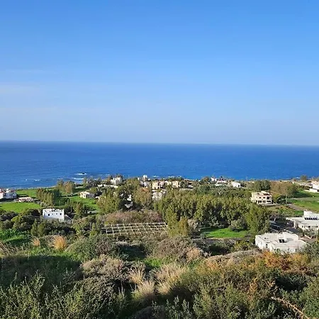 Livia - Vikles 1 * Pomos