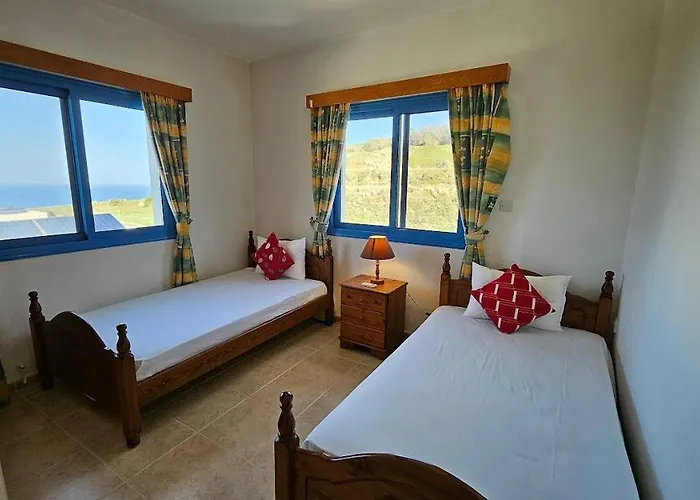 Livia - Vikles 1 Πωμός