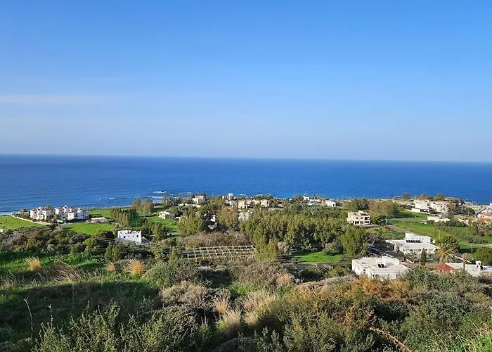 Livia - Vikles 1 * Πωμός